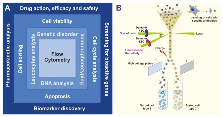 The principle of FACS analysis The principle of FACS analysis